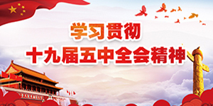 头号玩家唯一官方建设开发总公司机关支部  组织学习党的十九届五中全会会议精神
